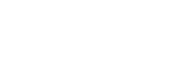 RevealSecurity